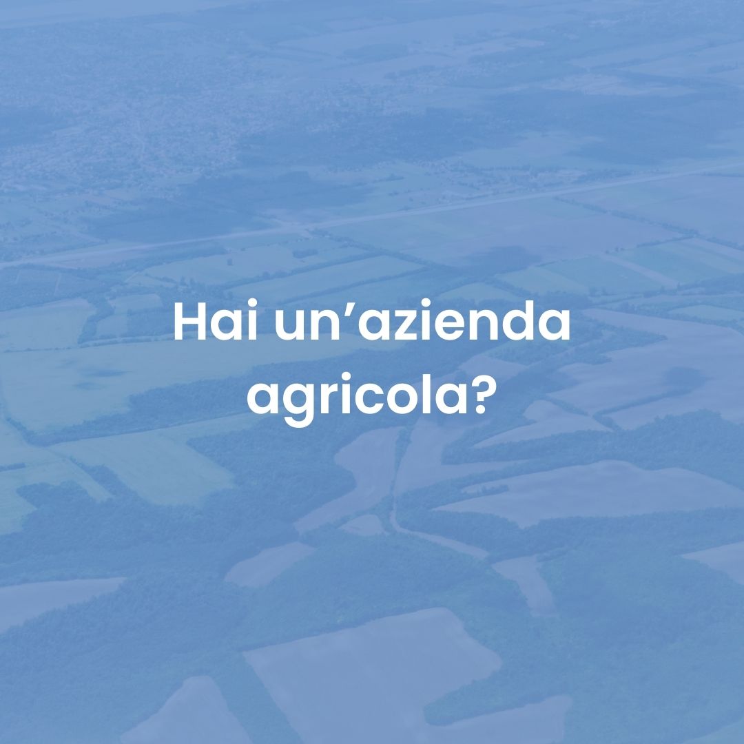 azienda agricola